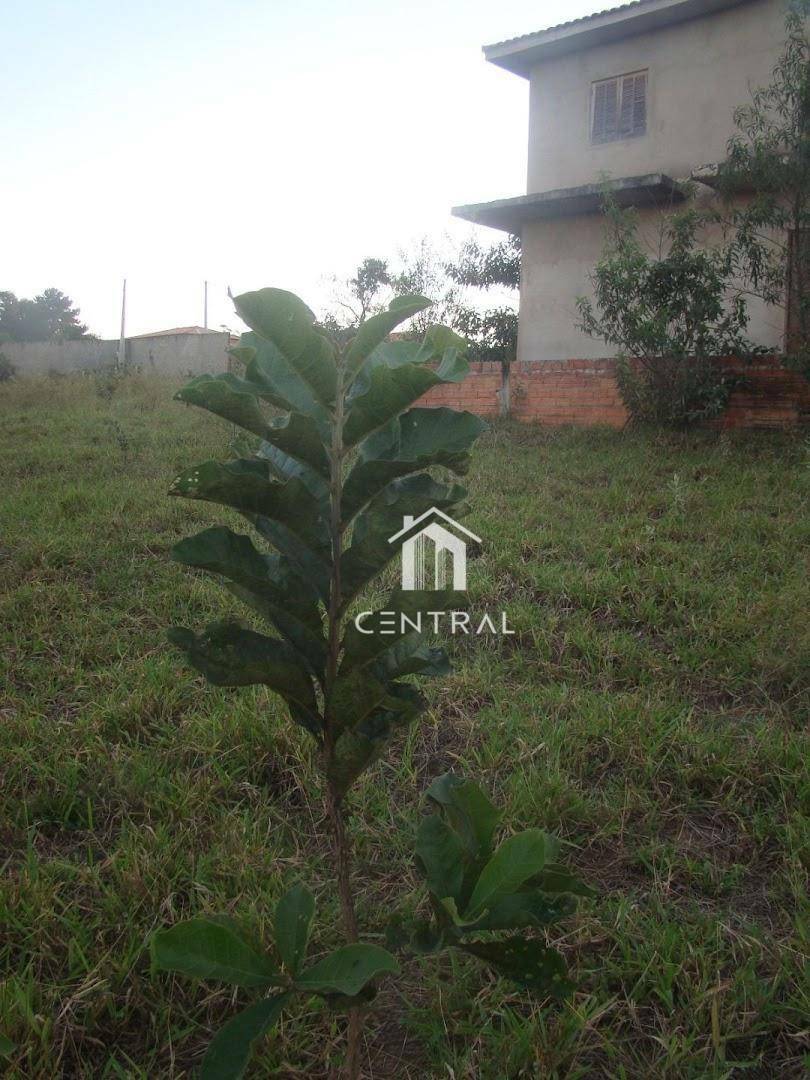 Chácara à venda com 3 quartos, 160m² - Foto 11