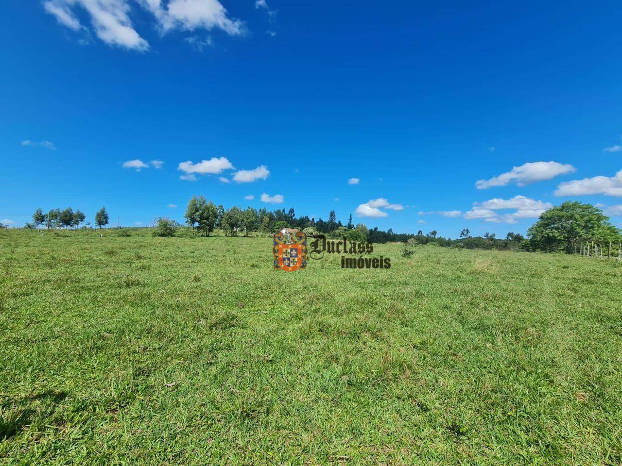 Fazenda à venda, 1258400M2 - Foto 39