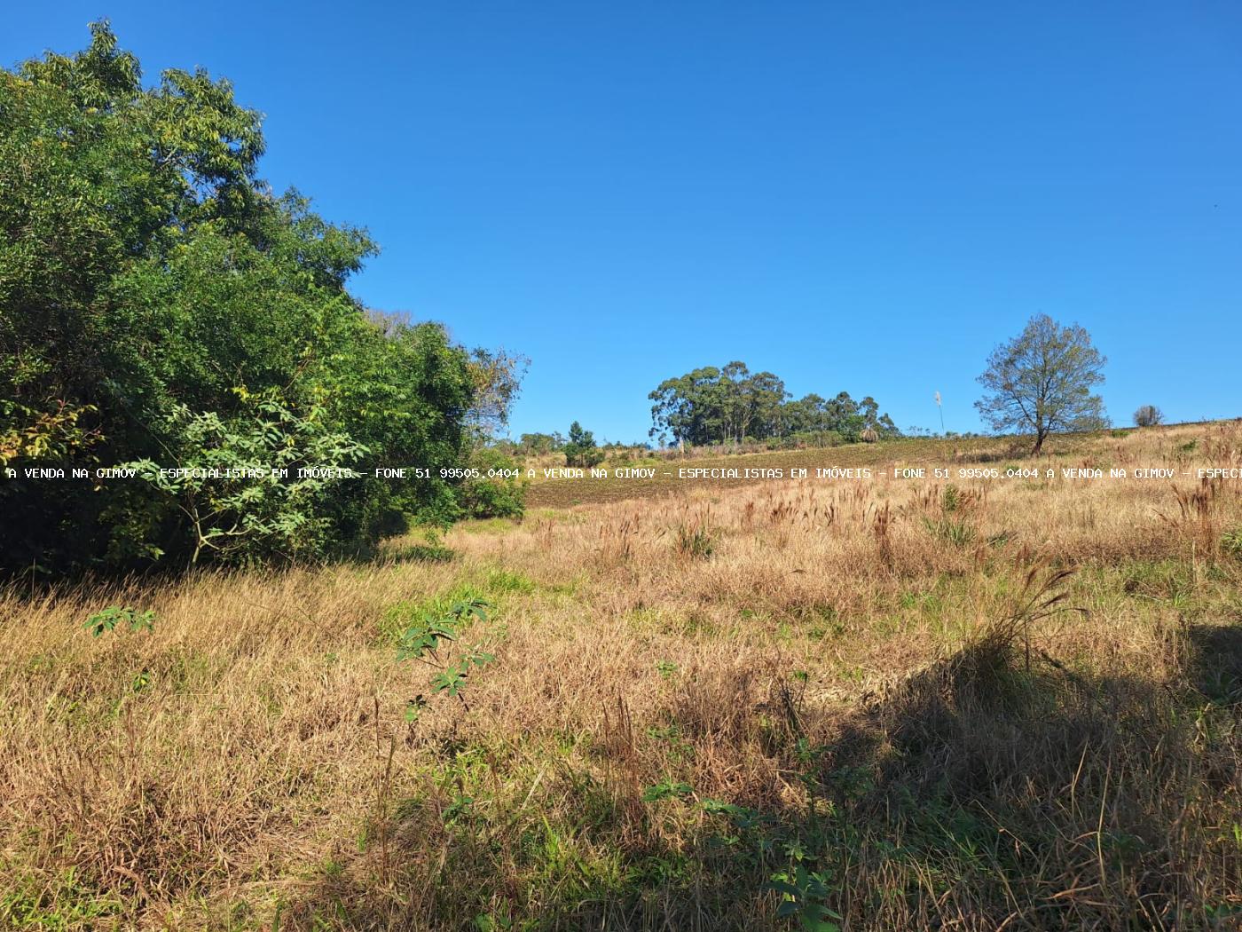 Loteamento e Condomínio à venda, 50000m² - Foto 11