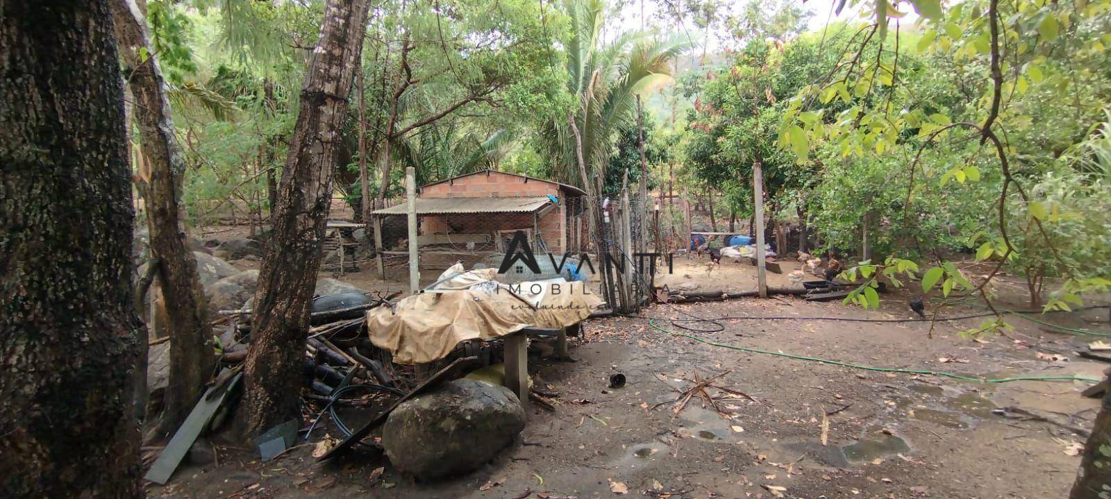 Chácara, 4 quartos, 5500 m² - Foto 4