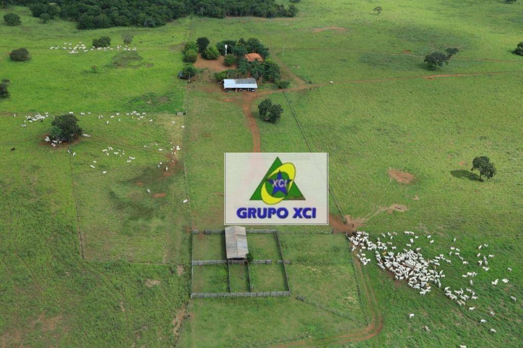 Fazenda-Sítio-Chácara, 785 hectares - Foto 1