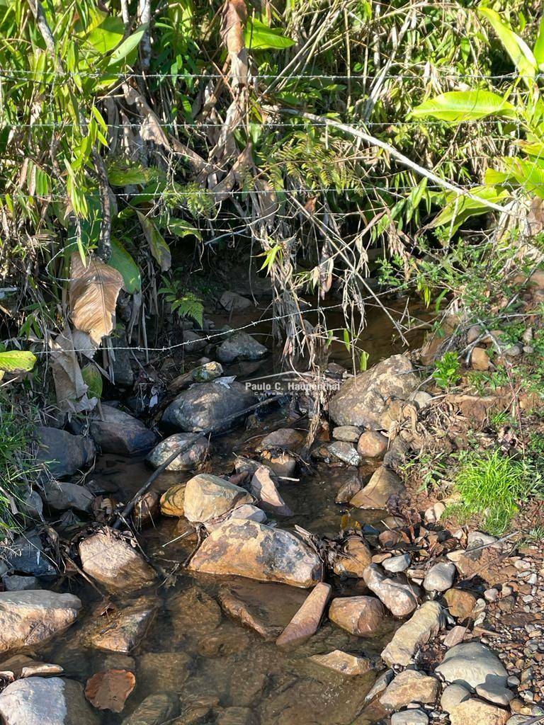 Terreno, 30 hectares - Foto 8