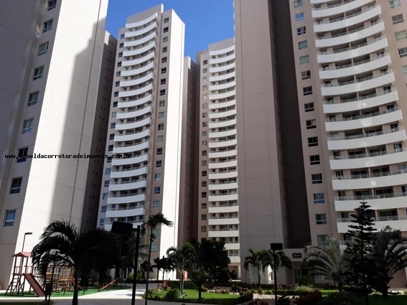 Apartamento à venda com 3 quartos, 77m² - Foto 13