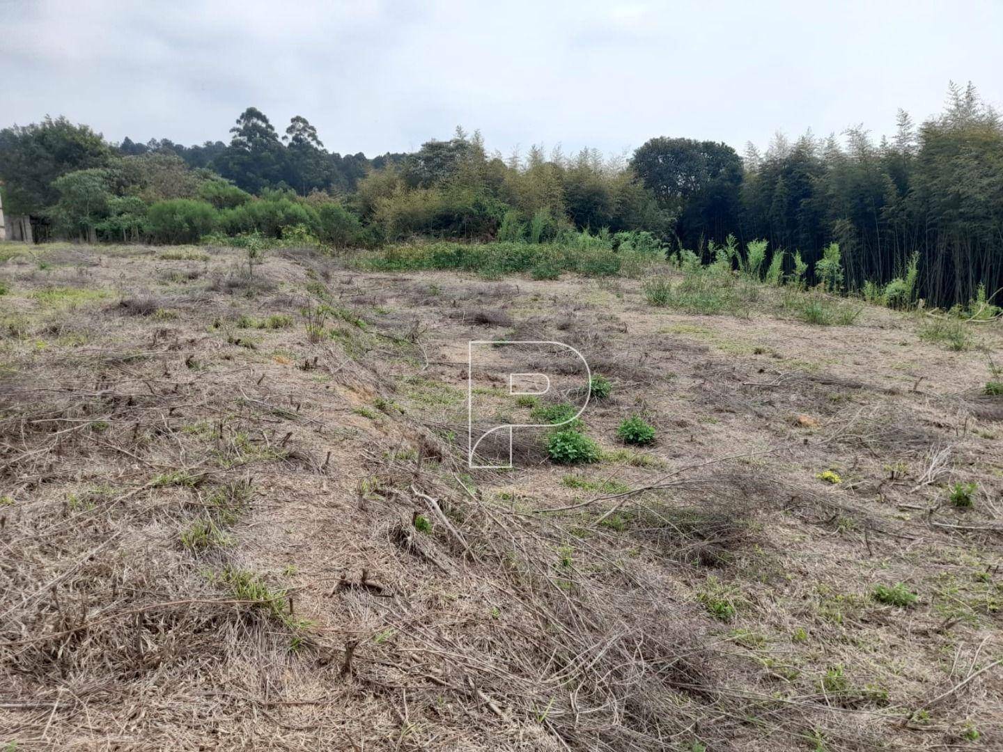 Terreno à venda, 2459M2 - Foto 10