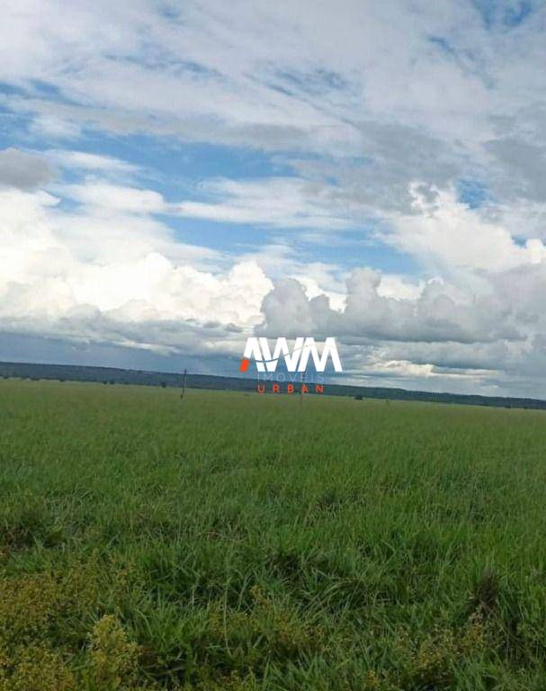 Fazenda, 1239 hectares - Foto 9