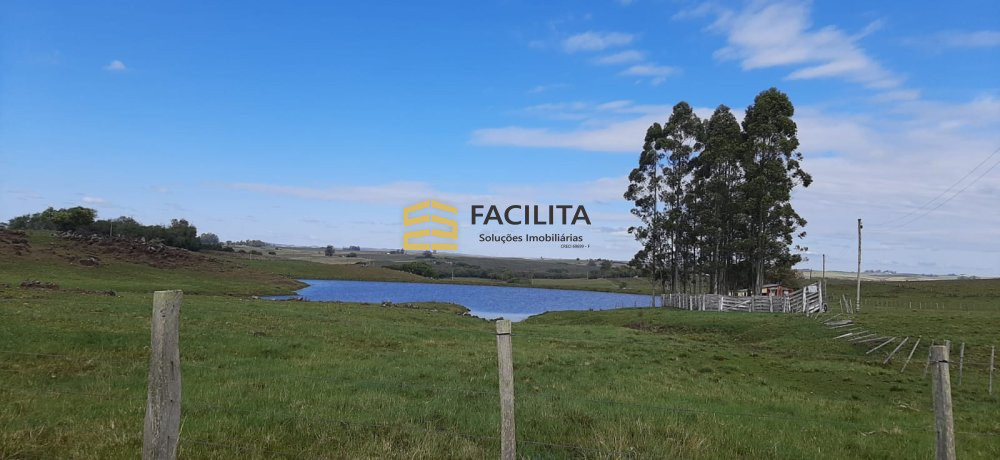 Fazenda à venda com 2 quartos, 420000m² - Foto 2