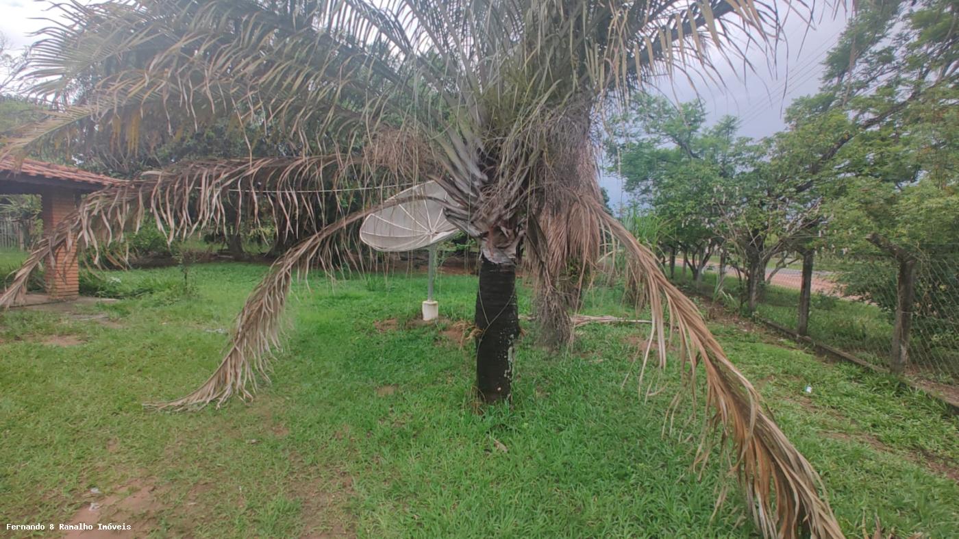 Fazenda para alugar com 2 quartos, 5000m² - Foto 2