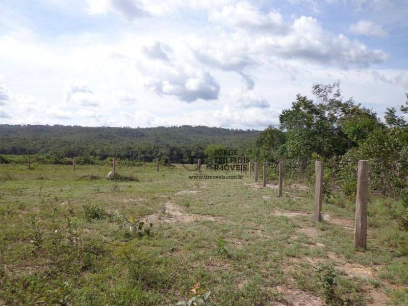 Fazenda-Sítio-Chácara, 1515 hectares - Foto 3