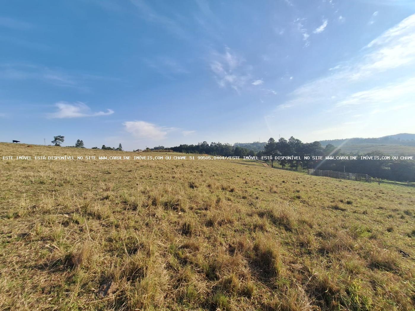 Sítio à venda, 80000m² - Foto 43