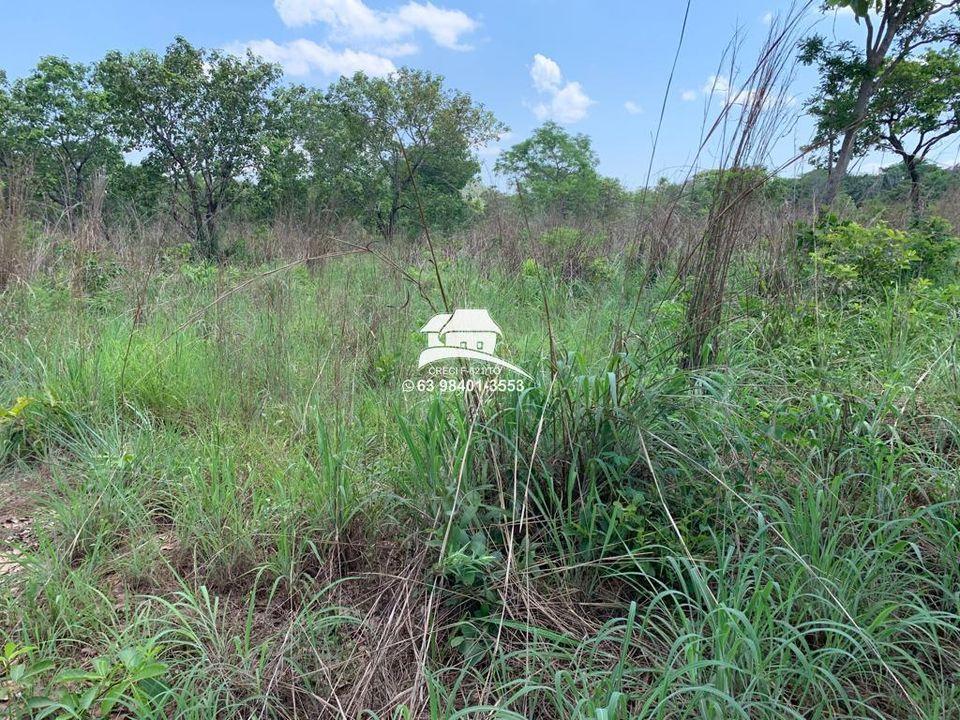 Chácara à venda com 3 quartos, 120000m² - Foto 12