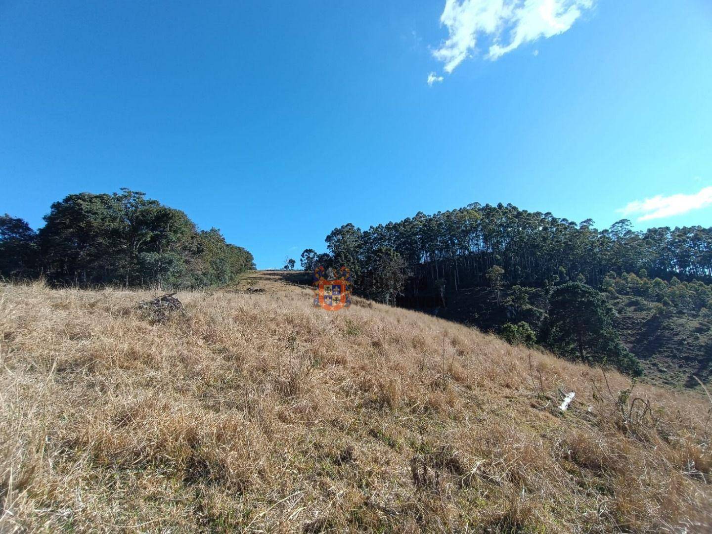 Terreno, 15 hectares - Foto 10