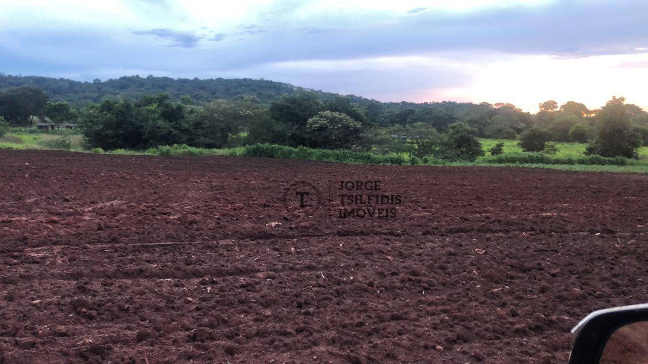 Fazenda-Sítio-Chácara, 10440 hectares - Foto 3
