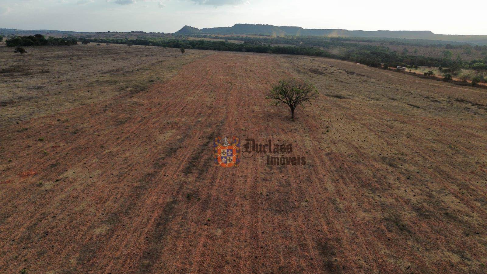 Fazenda, 3125 hectares - Foto 4