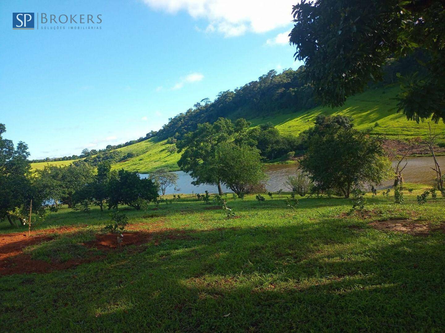 Fazenda à venda com 4 quartos, 400m² - Foto 13