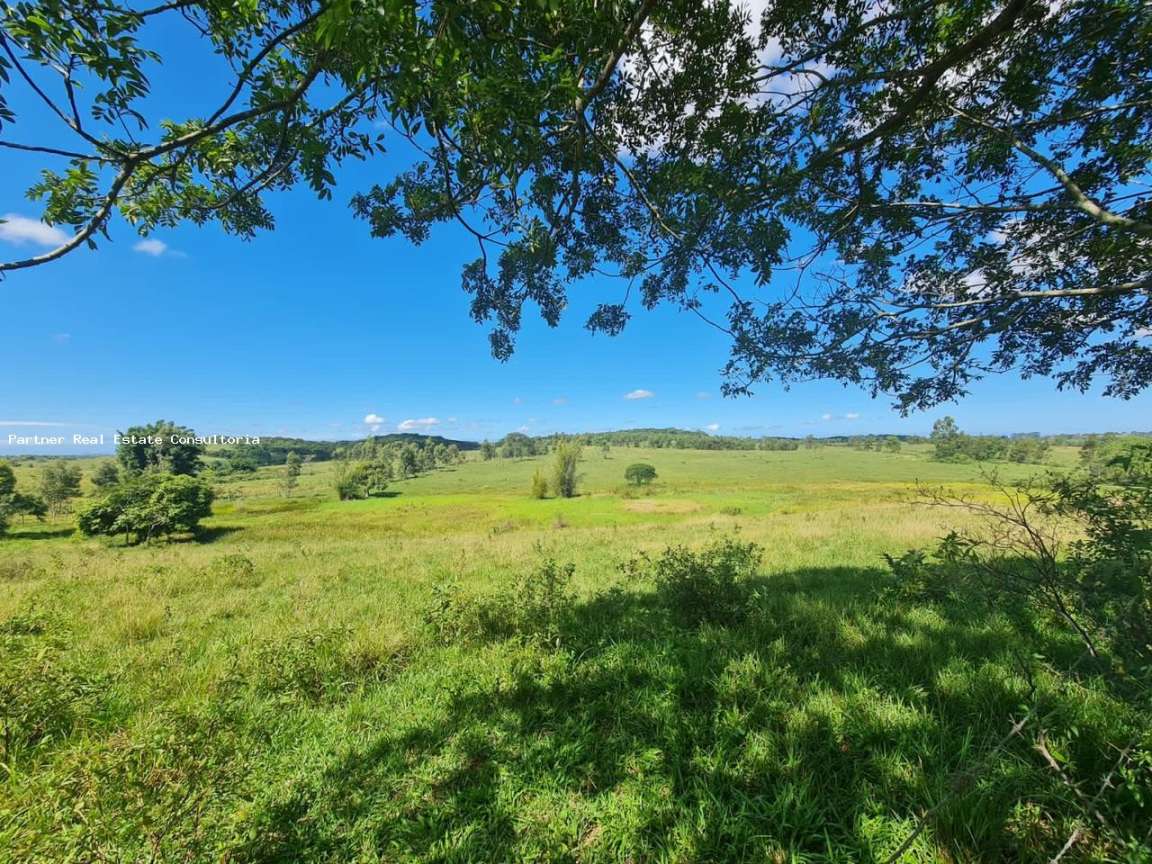 Fazenda à venda com 3 quartos, 52m² - Foto 19