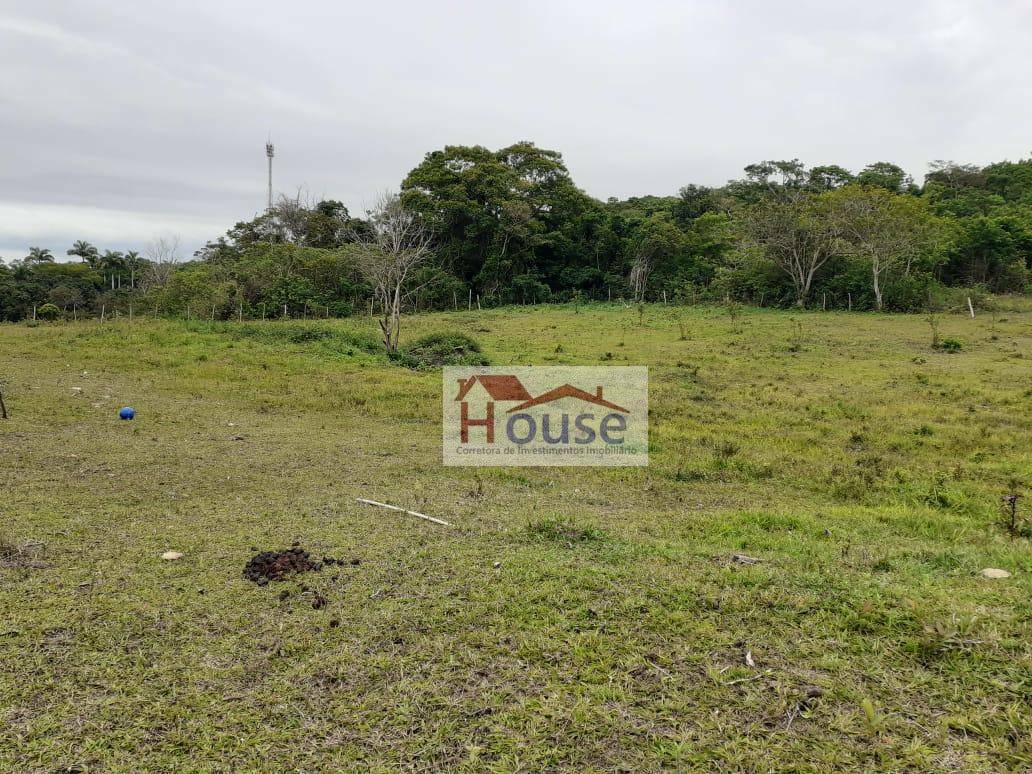 Terreno, 8000 m² - Foto 6