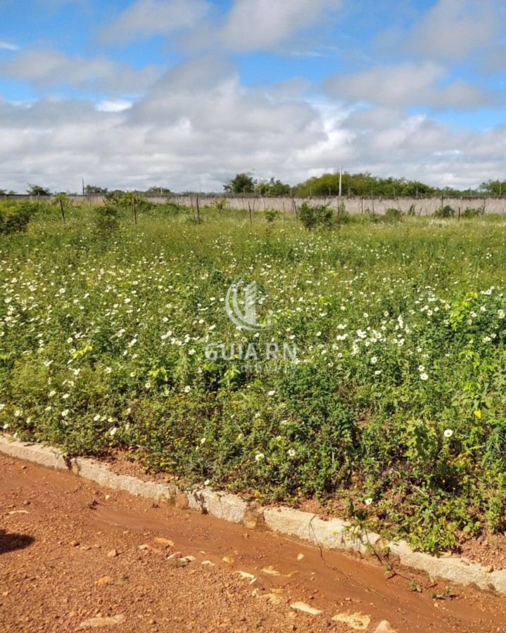 Terreno, 1756 m² - Foto 4