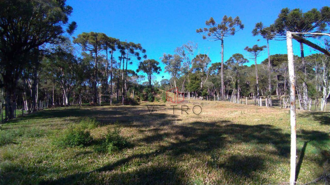 Sítio à venda com 2 quartos, 70000M2 - Foto 7