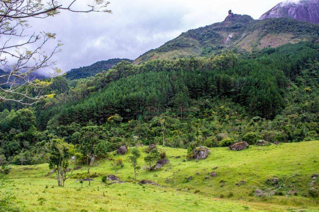 Fazenda à venda com 5 quartos, 10500000M2 - Foto 57