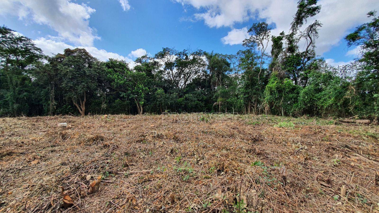 Loteamento e Condomínio à venda, 3203M2 - Foto 2