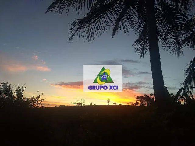 Fazenda, 116 hectares - Foto 5