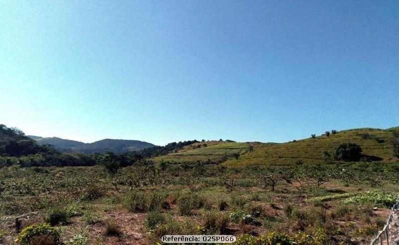 Fazenda à venda com 4 quartos, 120000m² - Foto 22