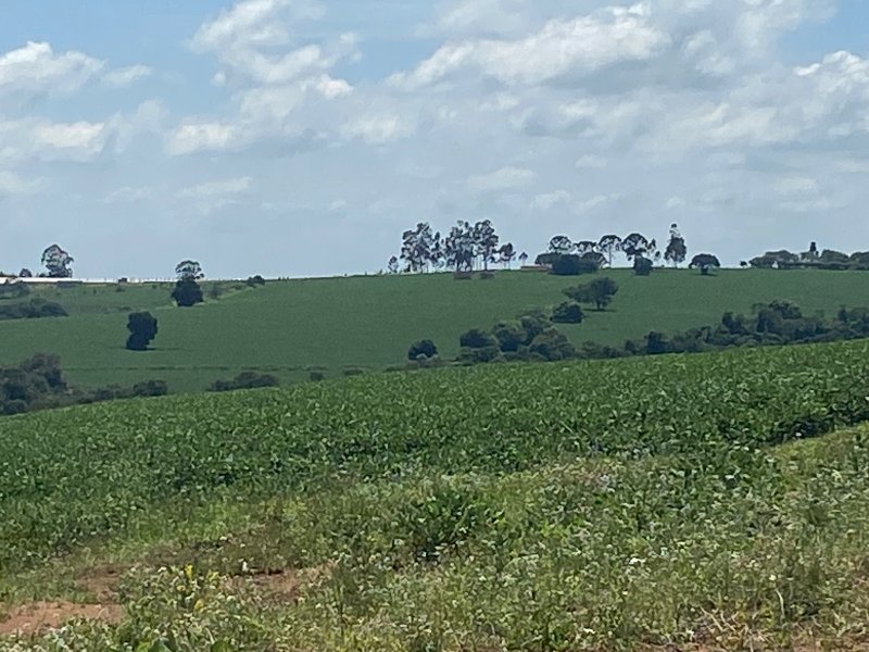 Fazenda à venda, 140m² - Foto 4