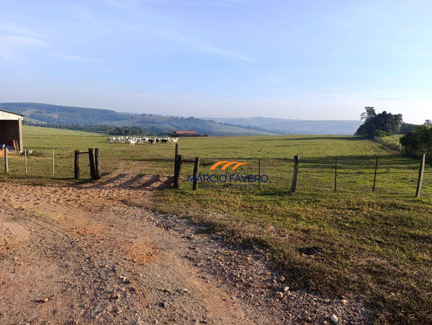 Sítio, 61 hectares - Foto 1