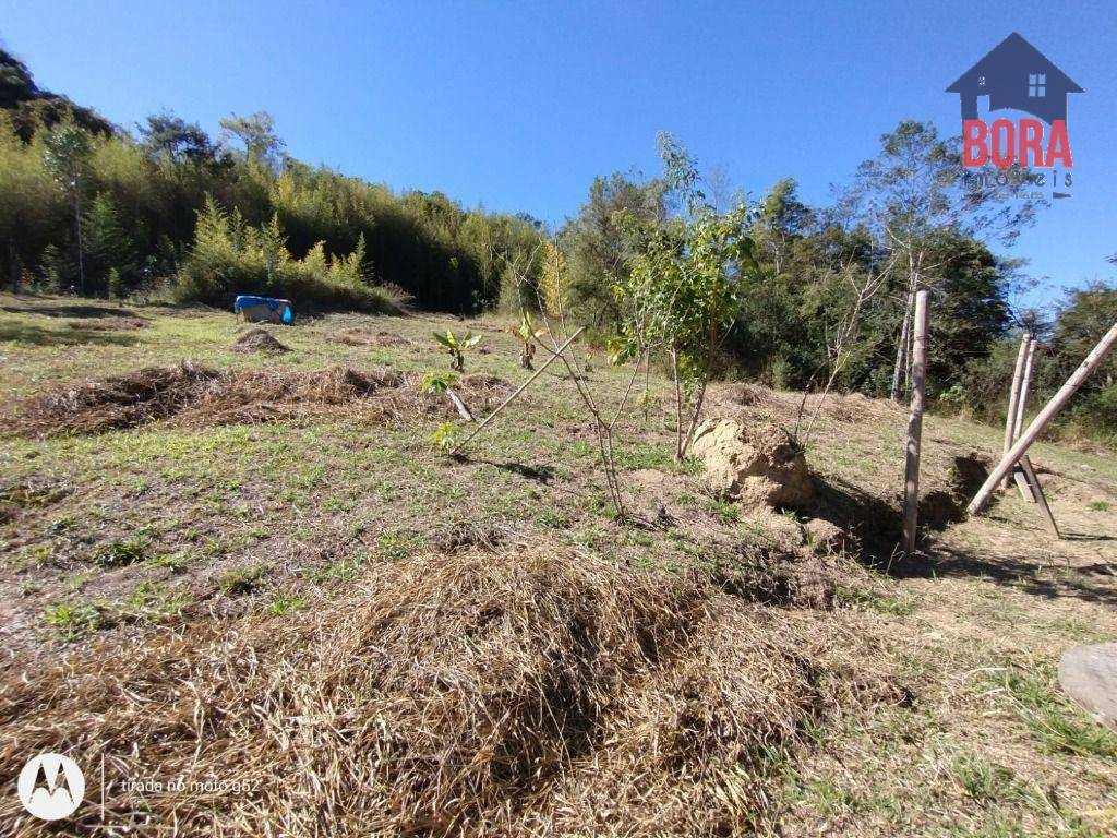 Terreno à venda, 6000M2 - Foto 3