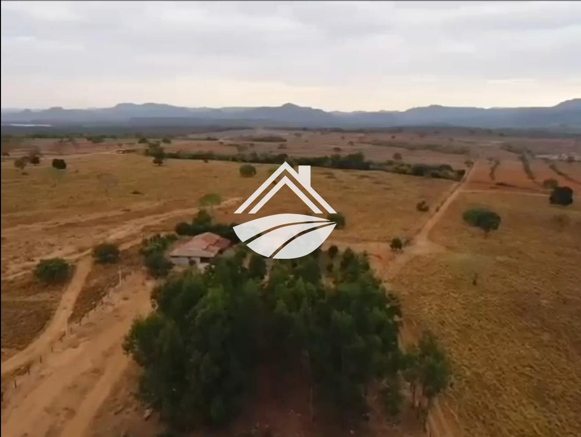 Fazenda à venda, 1m² - Foto 6