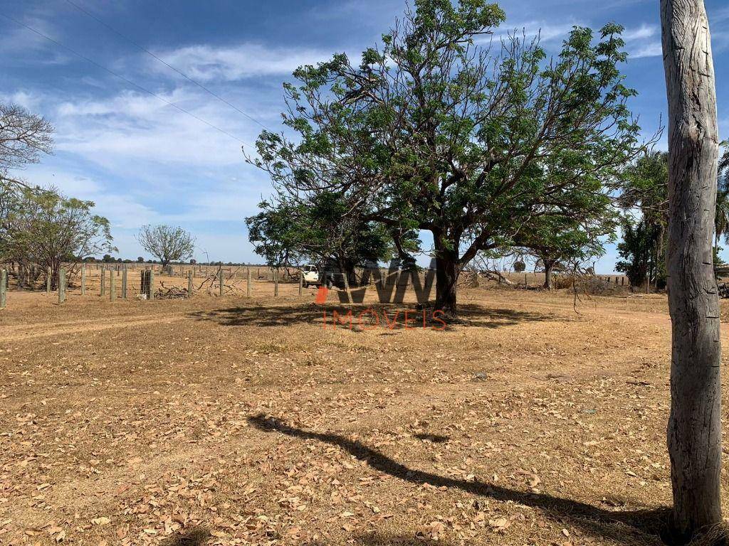 Fazenda à venda, 12196800M2 - Foto 11