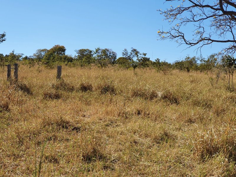 Fazenda à venda, 1613m² - Foto 11