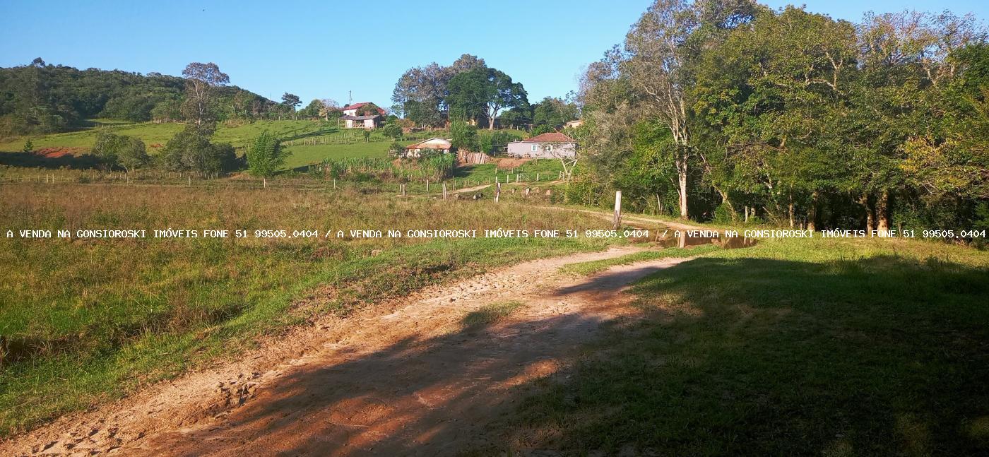 Fazenda à venda com 3 quartos, 55000m² - Foto 11