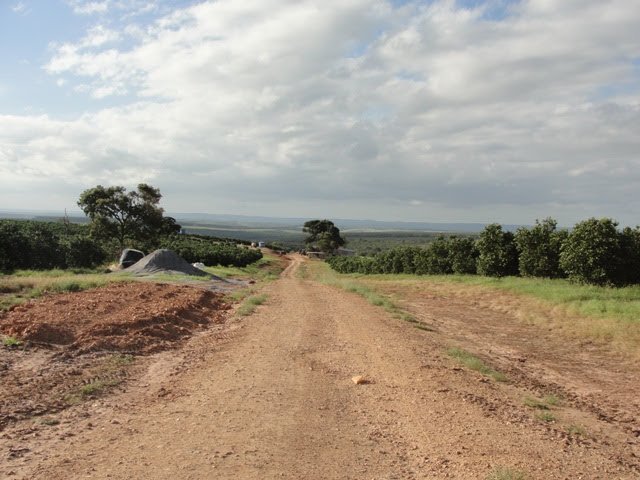 Fazenda à venda, 170m² - Foto 2