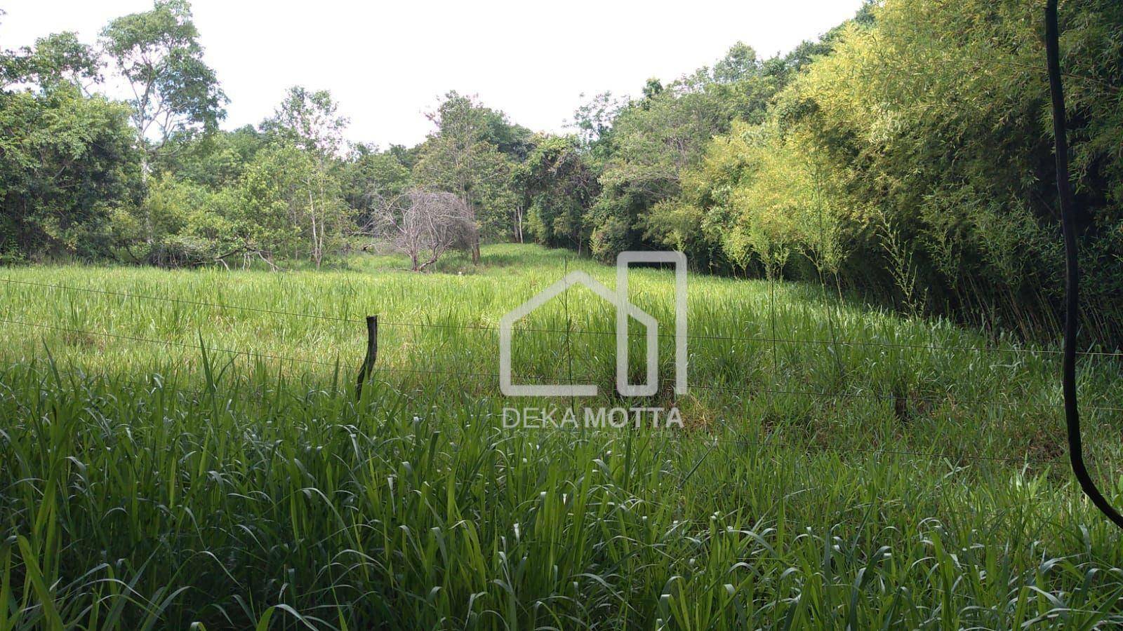 Fazenda à venda com 3 quartos, 250000M2 - Foto 5