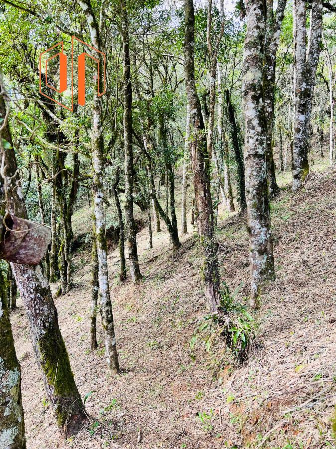 Chácara à venda, 10000m² - Foto 12