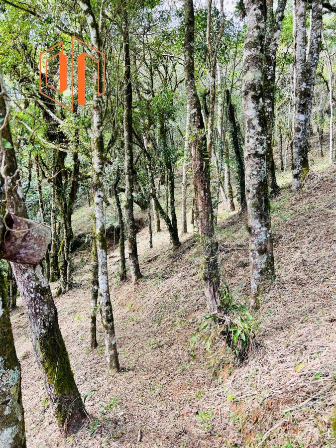 Fazenda à venda, 10000m² - Foto 12