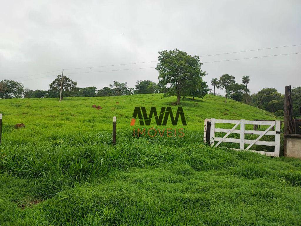 Chácara à venda com 3 quartos, 200m² - Foto 19