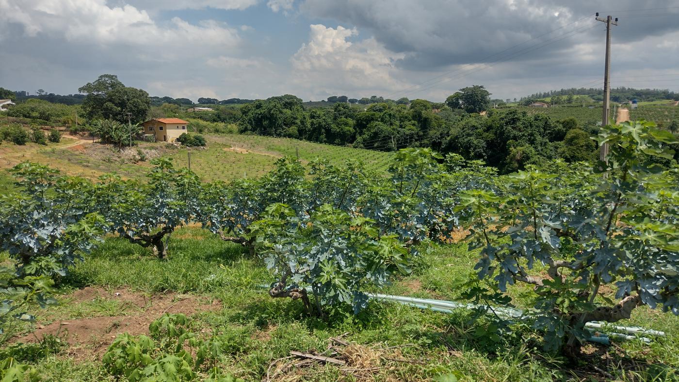 Fazenda à venda, 50000m² - Foto 21