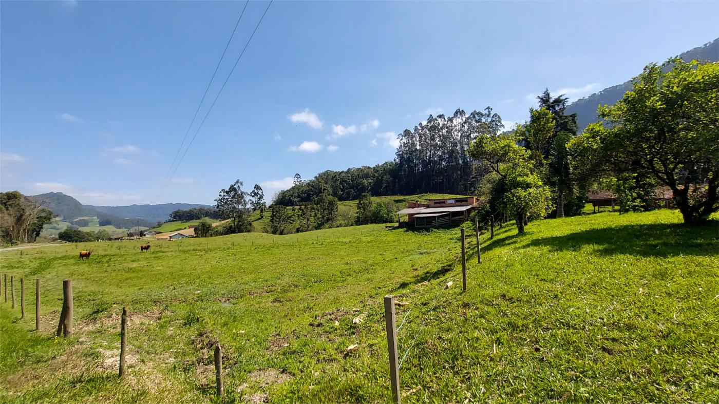 Fazenda à venda com 4 quartos, 101500m² - Foto 17