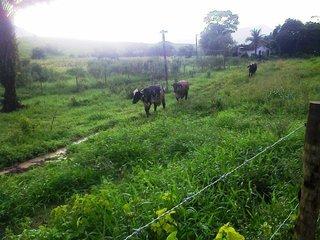 Fazenda à venda com 5 quartos, 140m² - Foto 18