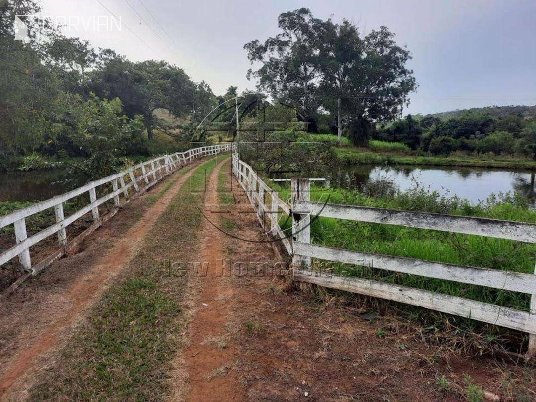 Sítio à venda com 3 quartos, 33975M2 - Foto 15