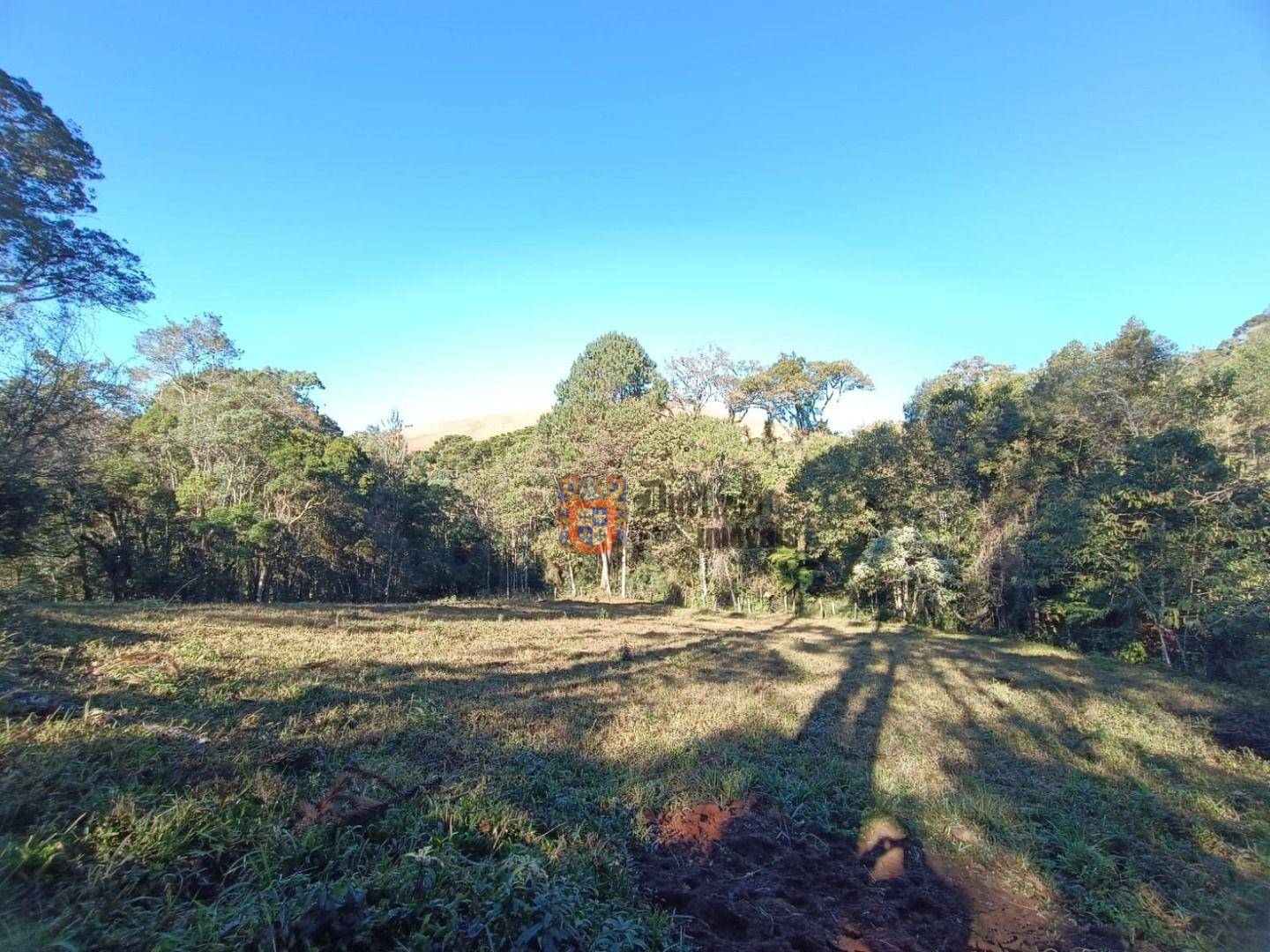 Terreno, 15 hectares - Foto 2