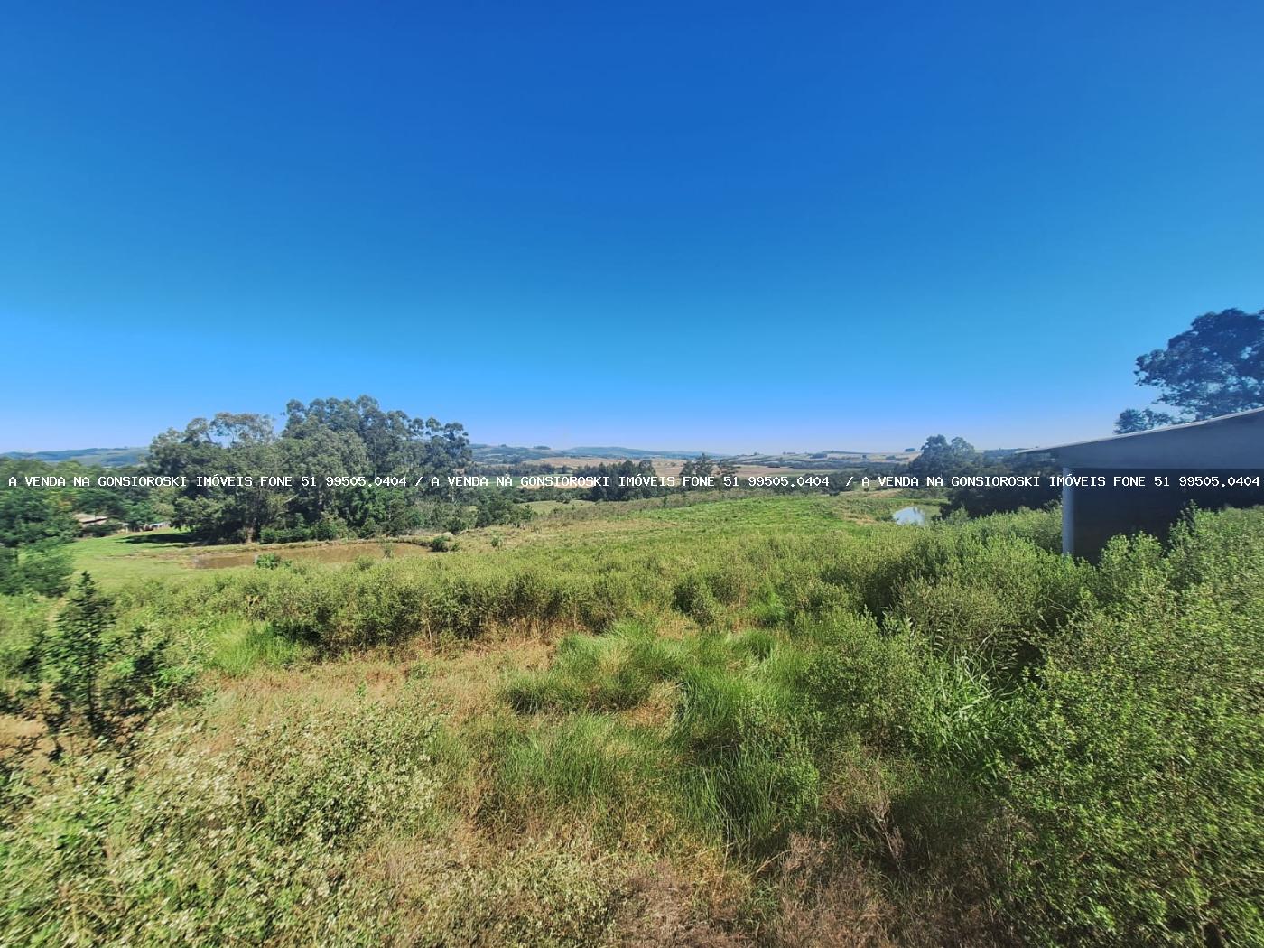 Sítio à venda com 3 quartos, 40000m² - Foto 26