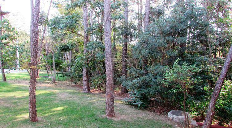 Casa de Condomínio à venda com 3 quartos, 105m² - Foto 30