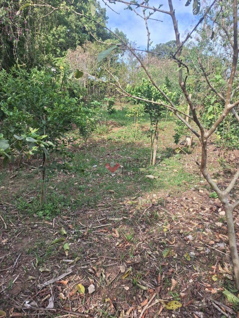 Terreno, 300 m² - Foto 2