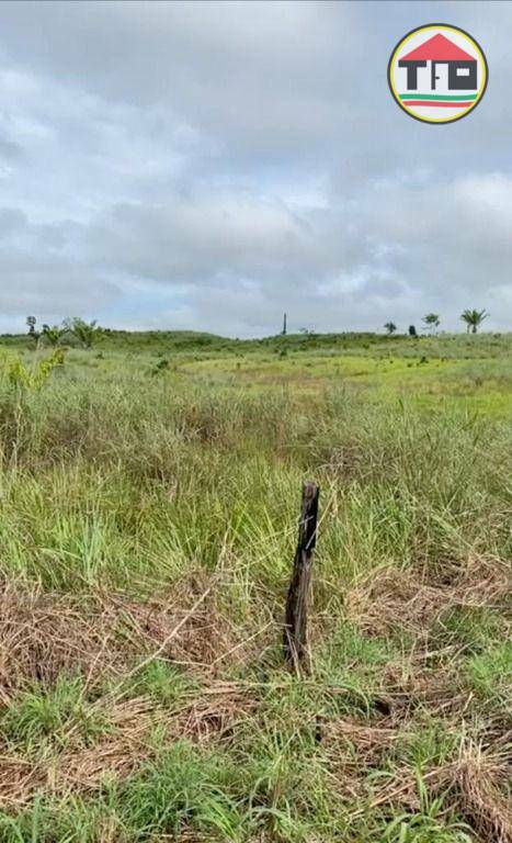 Fazenda à venda, 10357600M2 - Foto 10