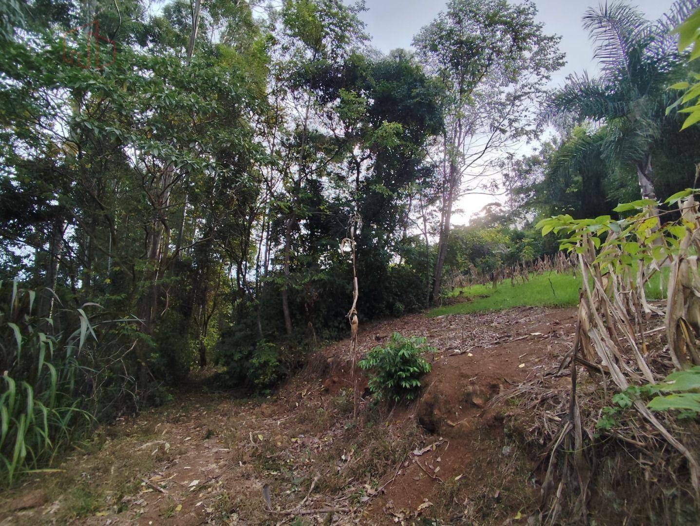 Terreno à venda, 1300M2 - Foto 7