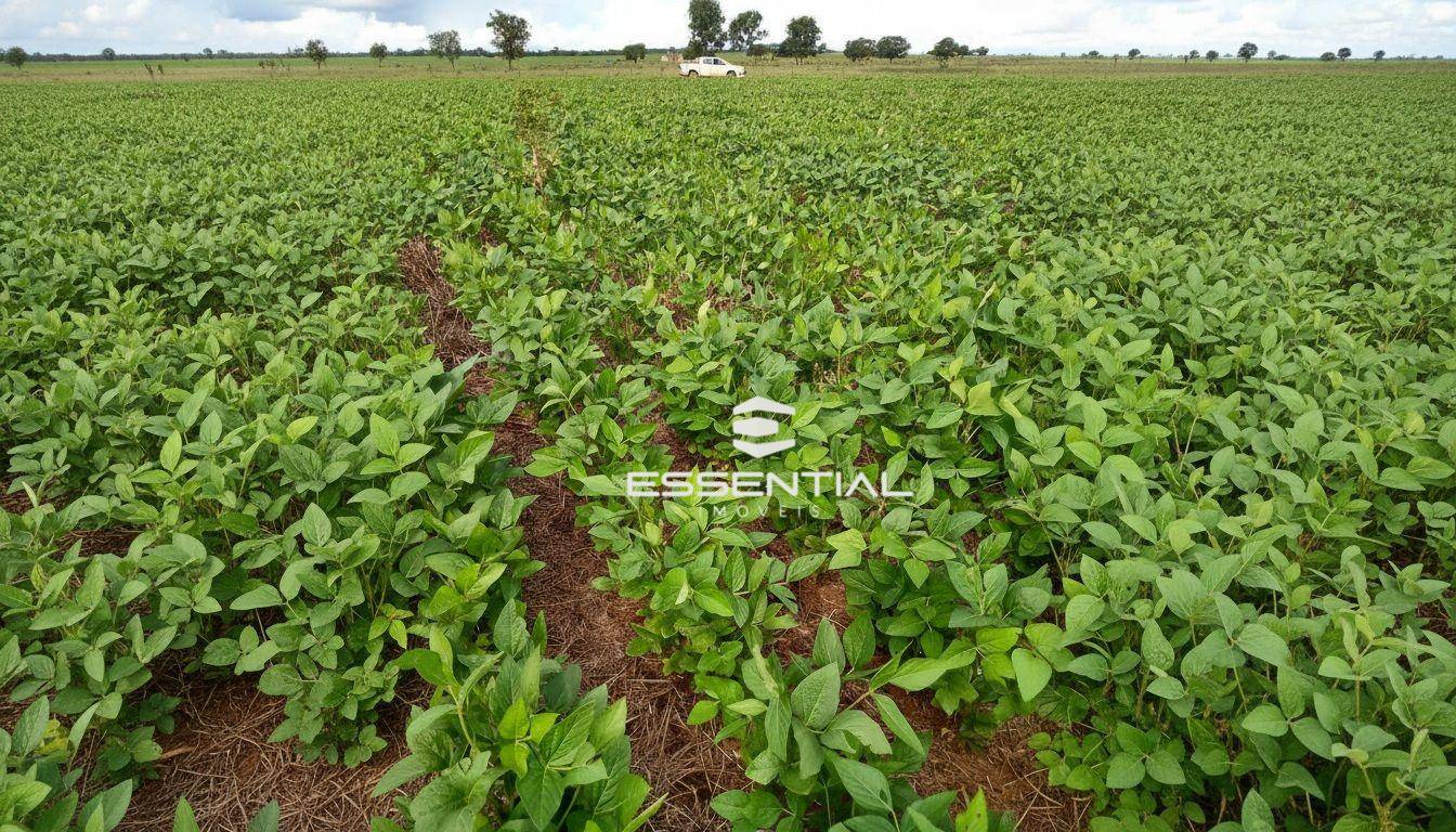 Fazenda, 2580 hectares - Foto 1