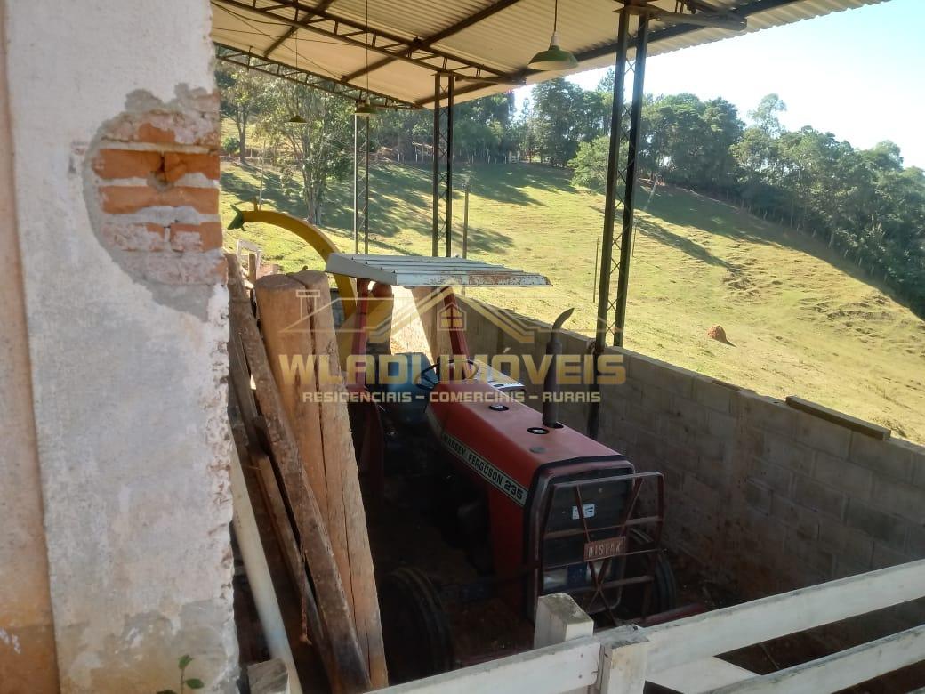 Fazenda à venda com 3 quartos, 25m² - Foto 8